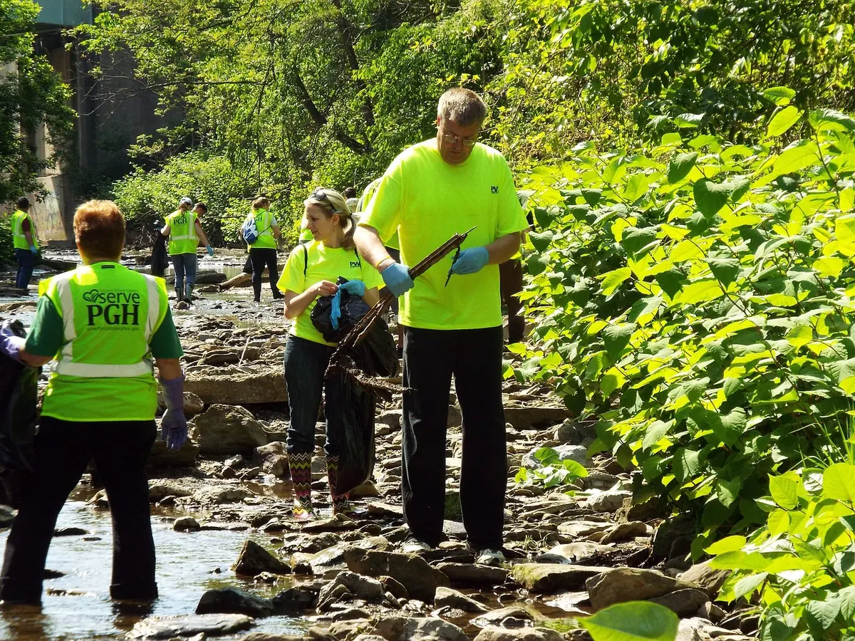How to Join a Harbour Cleanup Crew: A Beginner's Guide to Volunteering